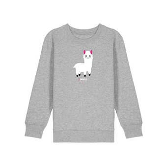 crew sweater grey Alpaca