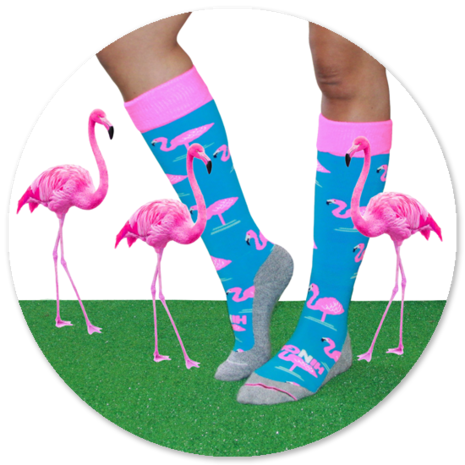 Begroeten Tolk Andrew Halliday Hingly Hockeysokken Flamingo Blauw - Hingly Sokken - Hingly